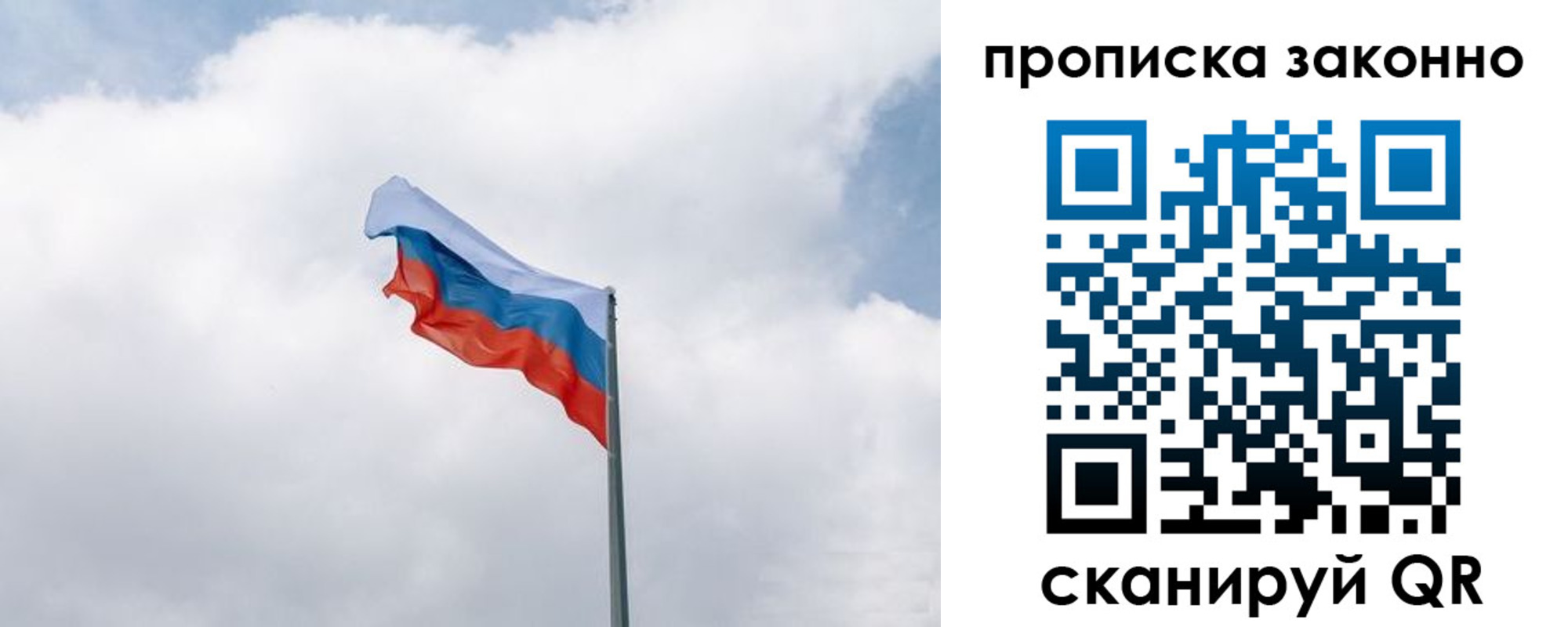 прописка поиск в Александрове